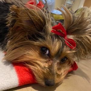 Meet your Posher, Debbie